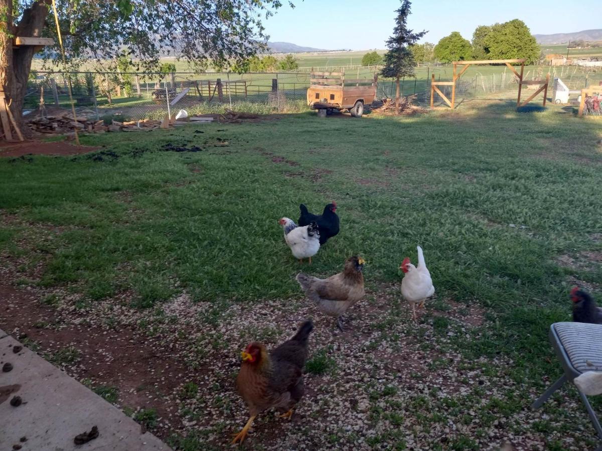Red Creek Inn And Farm Parowan Kültér fotó